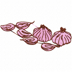 Garlic Embroidery Design 2 Garlic Embroidery Design 2